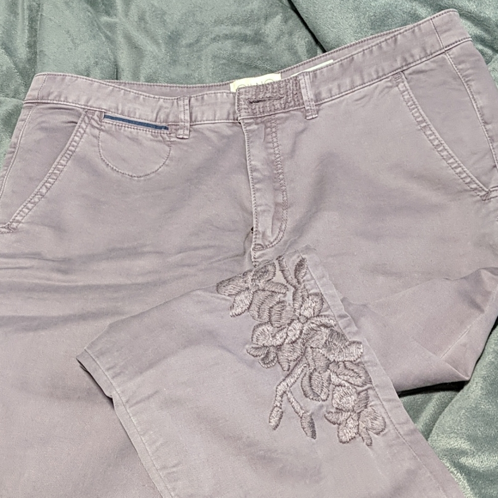 Anthropologie embroidered chino pant